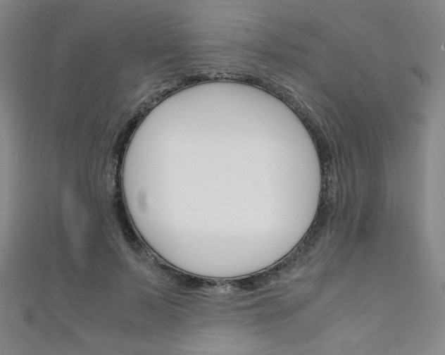 X0000111150695200906301038