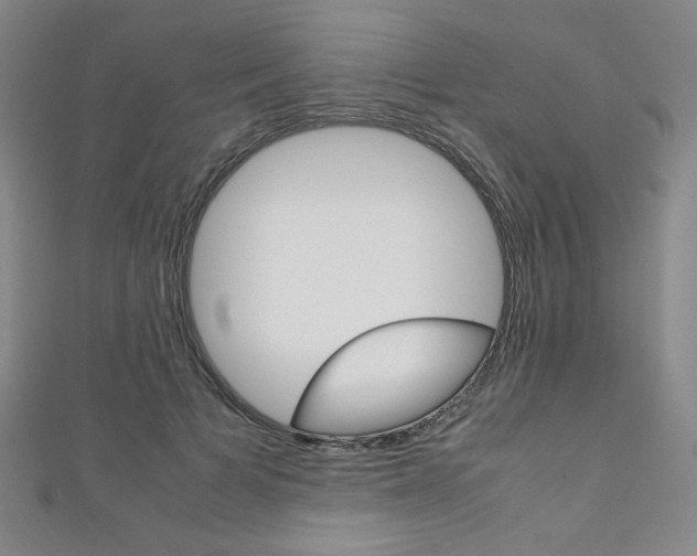 X0000111150697200906301038