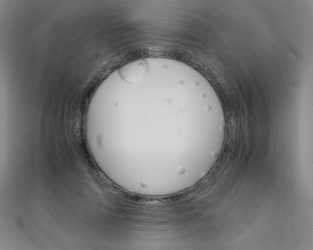 X0000111150698200906301037