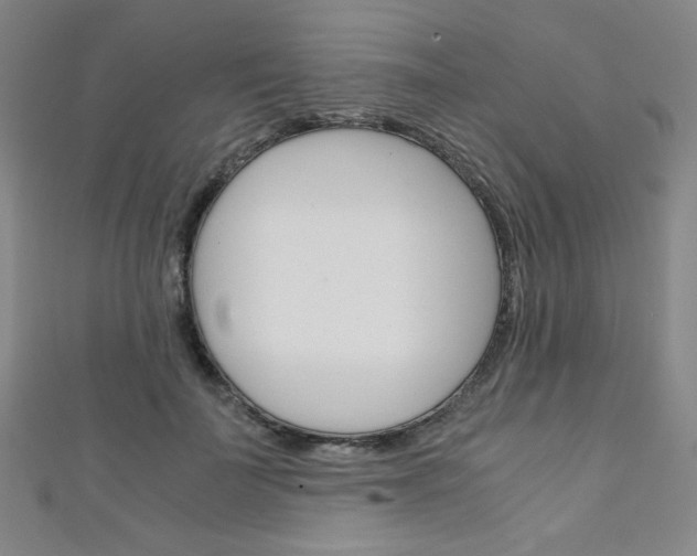 X0000111150699200906301037
