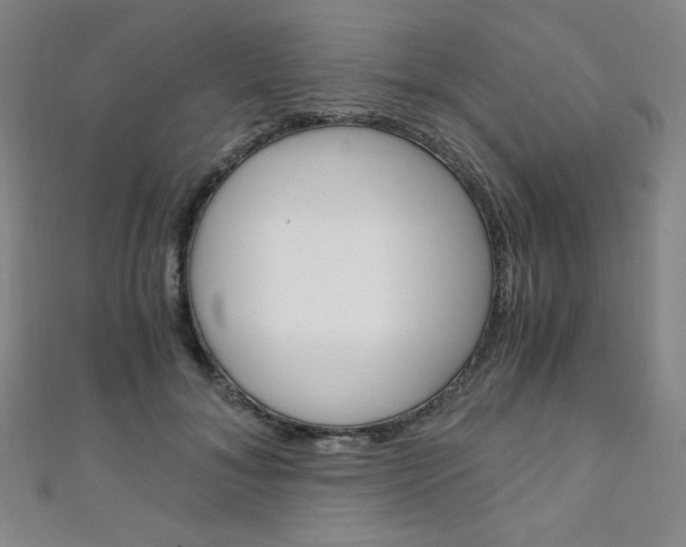 X0000111150700200906301037