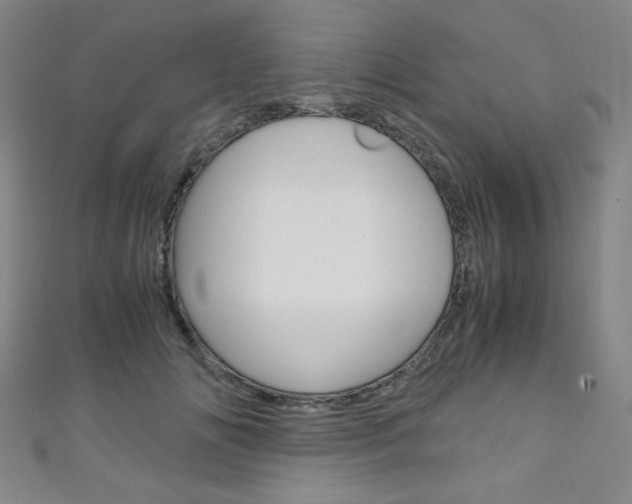 X0000111150702200906301037