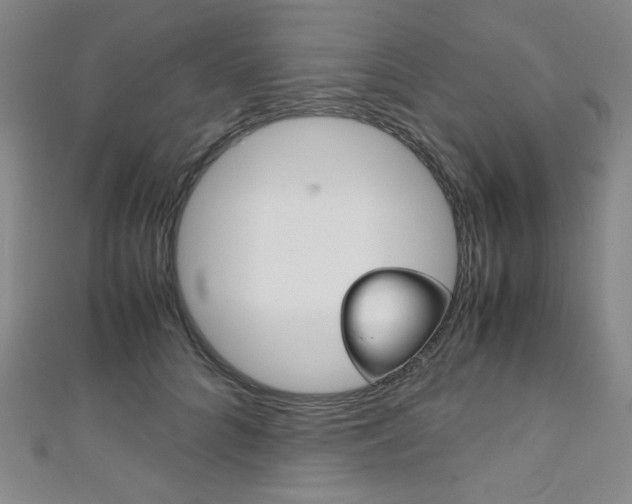 X0000111150704200906301037