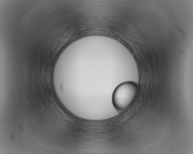X0000111150708200906301037