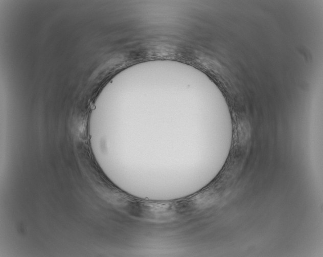 X0000111150709200906301037