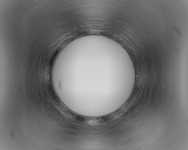 X0000111150710200906301037