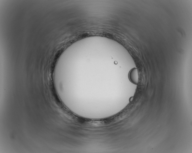 X0000111150711200906301037