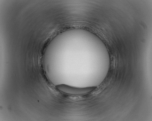 X0000111150712200906301037