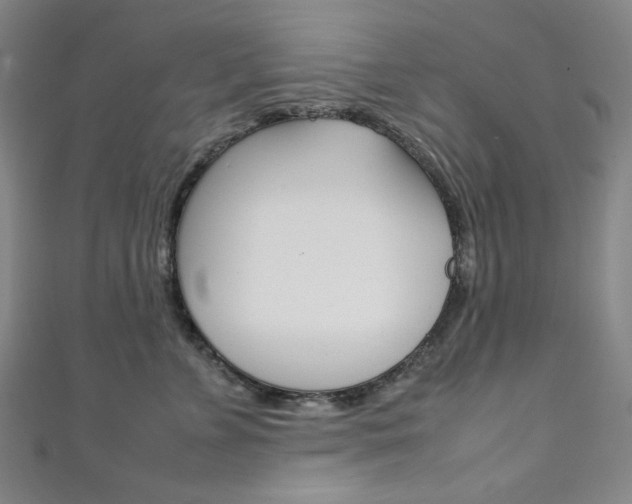 X0000111150715200906301037