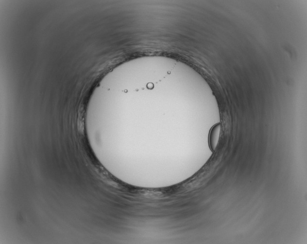 X0000111150719200906301037