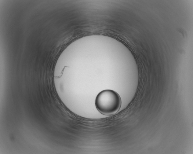X0000111150720200906301037