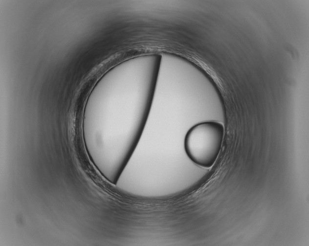 X0000111150722200906301036