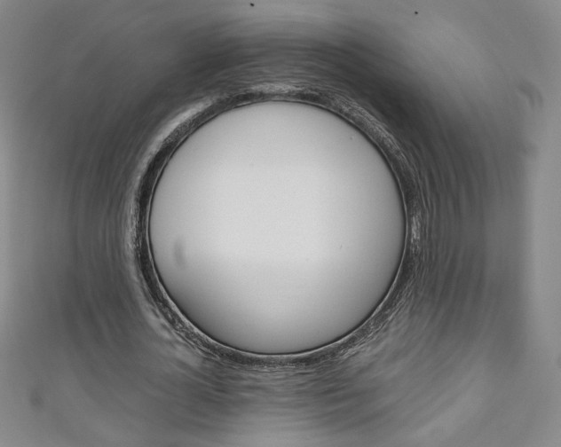 X0000111150724200906301036