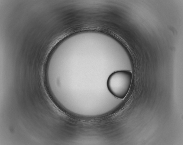X0000111150725200906301036