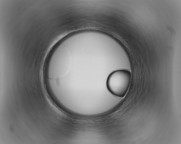 X0000111150726200906301036