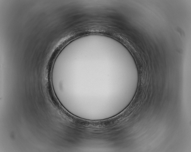 X0000111150727200906301037