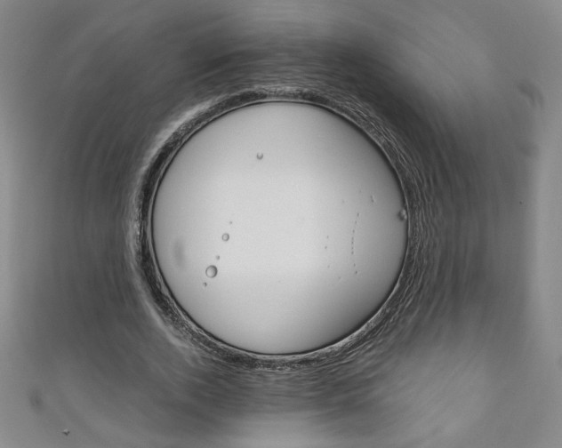 X0000111150728200906301037