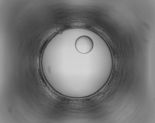 X0000111150729200906301037