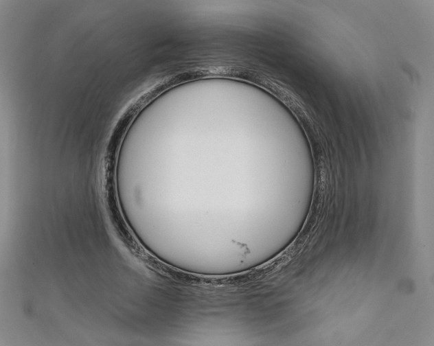 X0000111150730200906301037