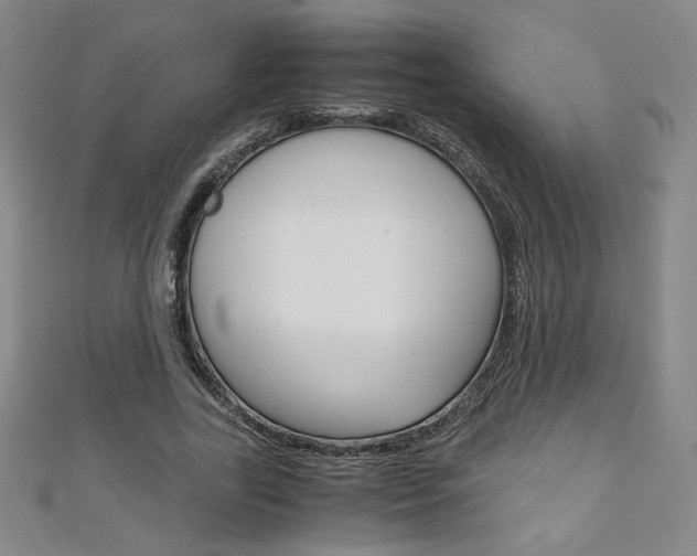 X0000111150731200906301037