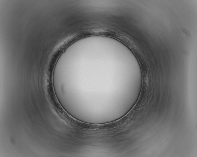 X0000111150732200906301037
