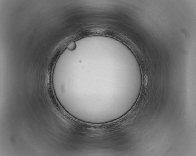 X0000111150733200906301037
