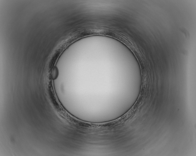 X0000111150736200906301037