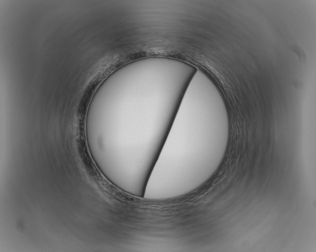 X0000111150738200906301037