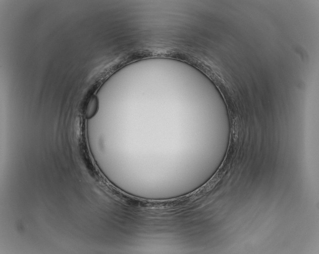 X0000111150740200906301037