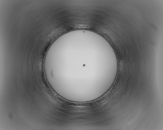 X0000111150741200906301037