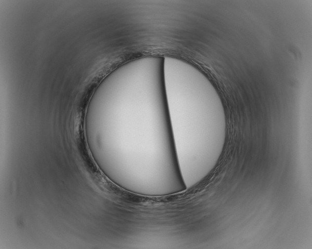 X0000111150742200906301037