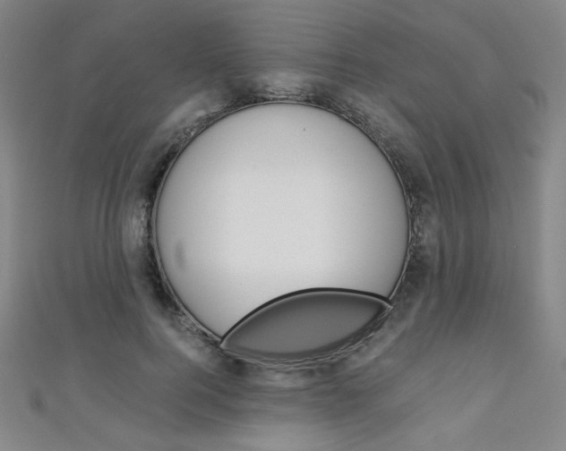 X0000111150744200906301037