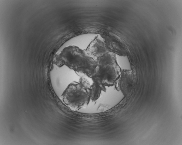 X0000111150745200906301037