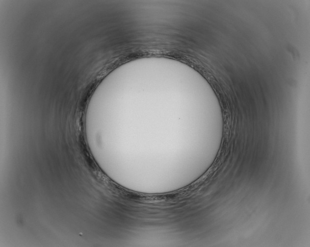 X0000111150746200906301037