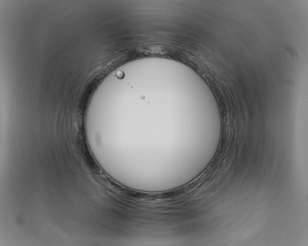 X0000111150747200906301037