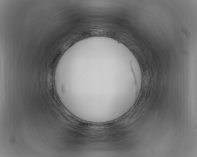 X0000111150749200906301037