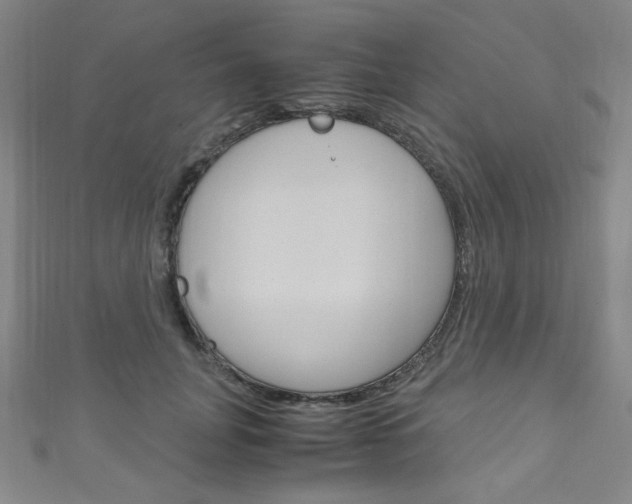 X0000111150751200906301037