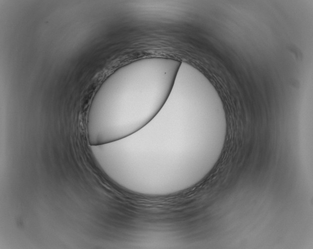 X0000111150752200906301037
