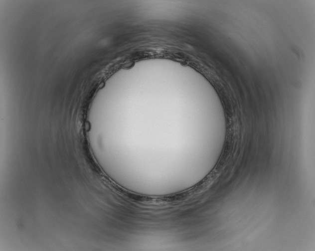 X0000111150754200906301037