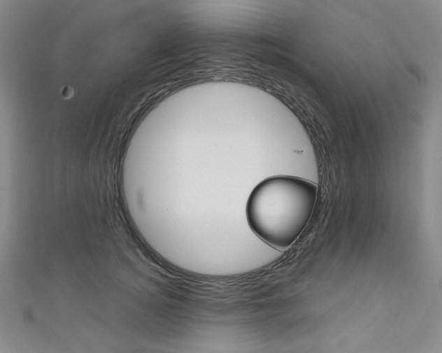 X0000111150756200906301037