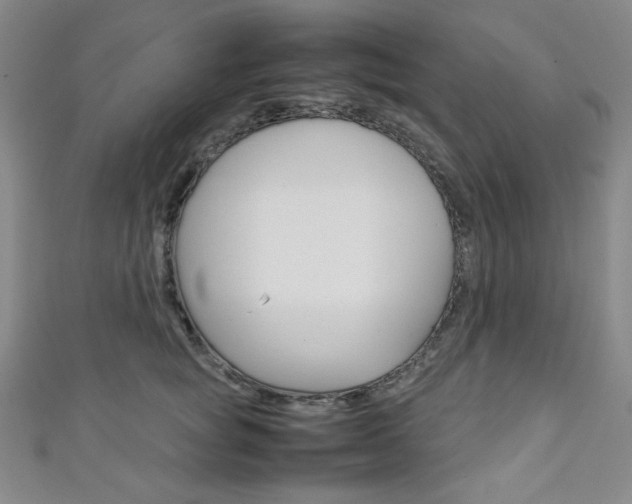 X0000111150757200906301037