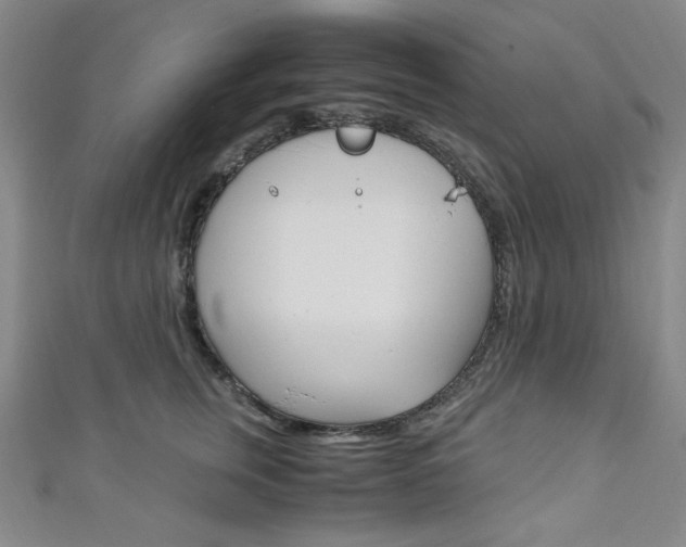 X0000111150759200906301037