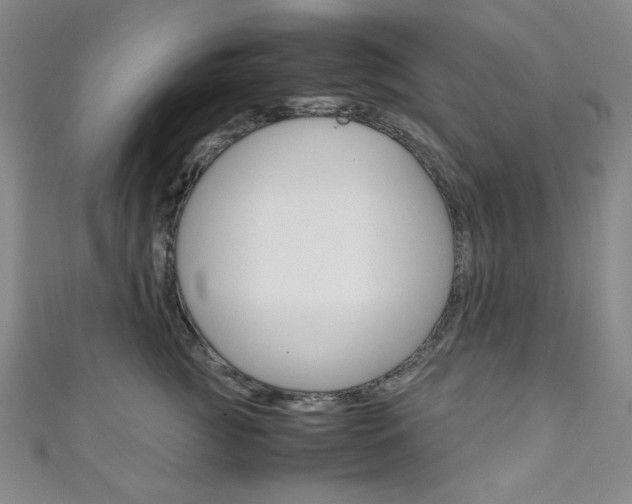 X0000111150761200906301037