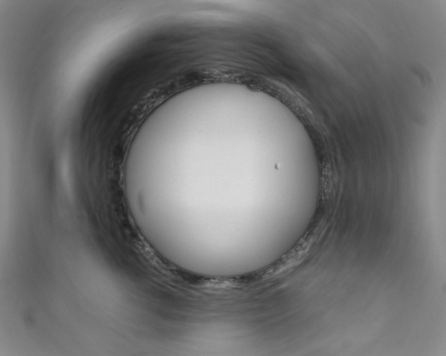 X0000111150762200906301037