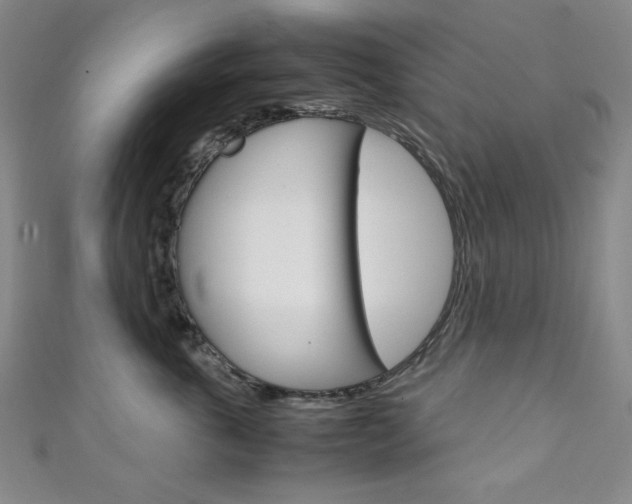 X0000111150763200906301037