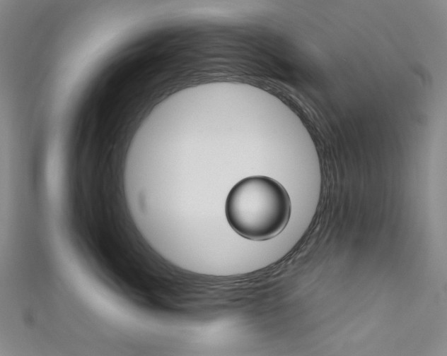 X0000111150764200906301037