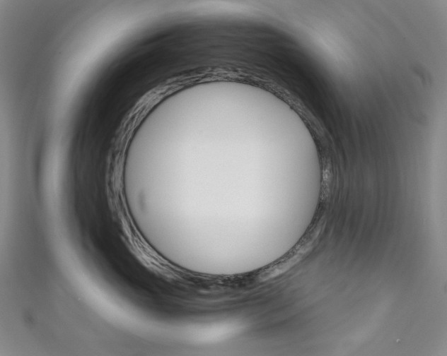 X0000111150765200906301037
