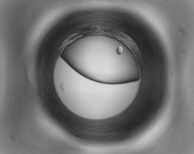 X0000111150766200906301037