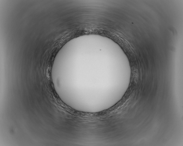 X0000111150770200906301036