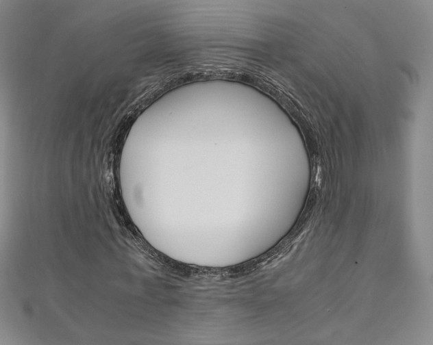 X0000111150771200906301036